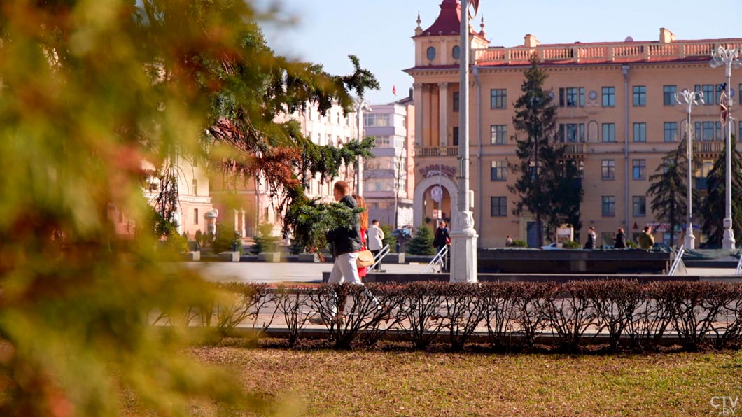 150 тысяч кустарников высадят в Минске! Узнали план по озеленению столицы в 2025-м-4