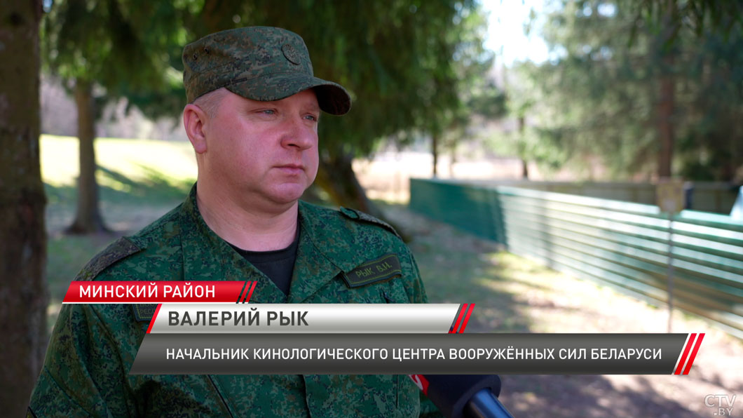 Кинологи вместе с собаками выйдут на парадный плац – четвероногие прошли специальные тренировки-4