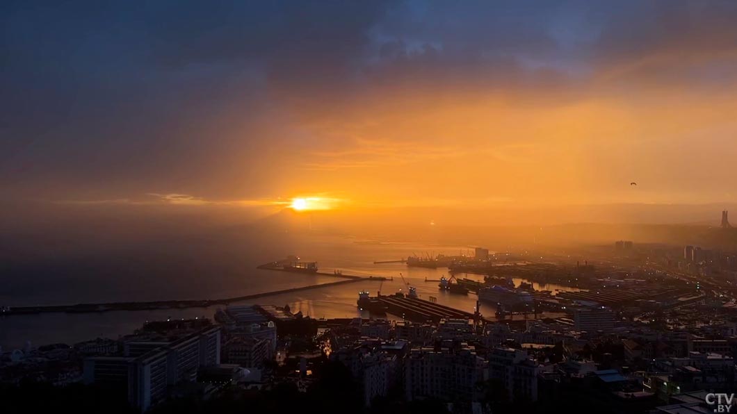 Укрепление партнёрства, подписание дорожной карты – итоги переговоров президентов Беларуси и Алжира-4