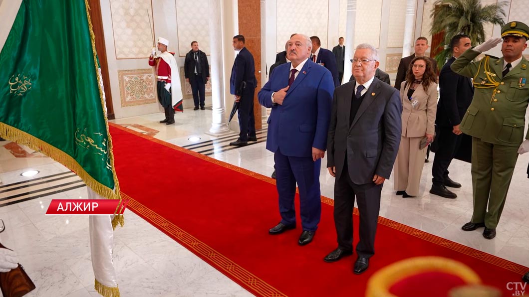 Укрепление партнёрства, подписание дорожной карты – итоги переговоров президентов Беларуси и Алжира-18 Укрепление партнёрства, подписание дорожной карты – итоги переговоров президентов Беларуси и Алжира-18