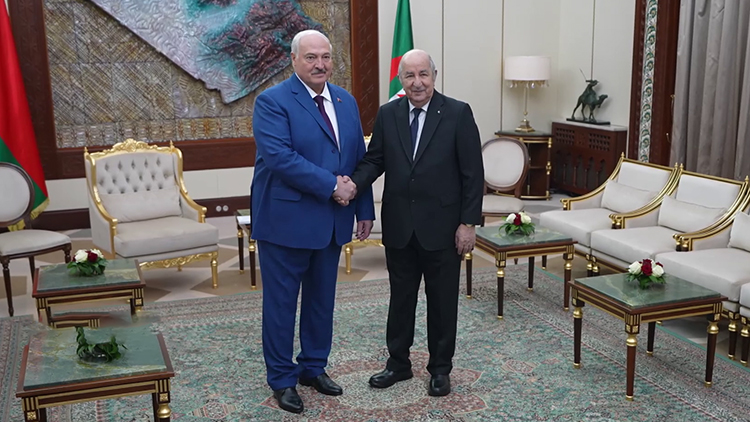 Укрепление партнёрства, подписание дорожной карты – итоги переговоров президентов Беларуси и Алжира