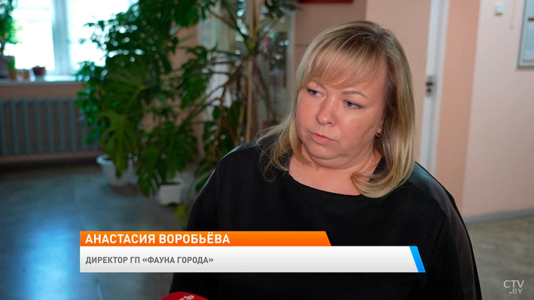 «Фауна города» проводит выездные субботники с возможностью чипирования домашних животных-2
