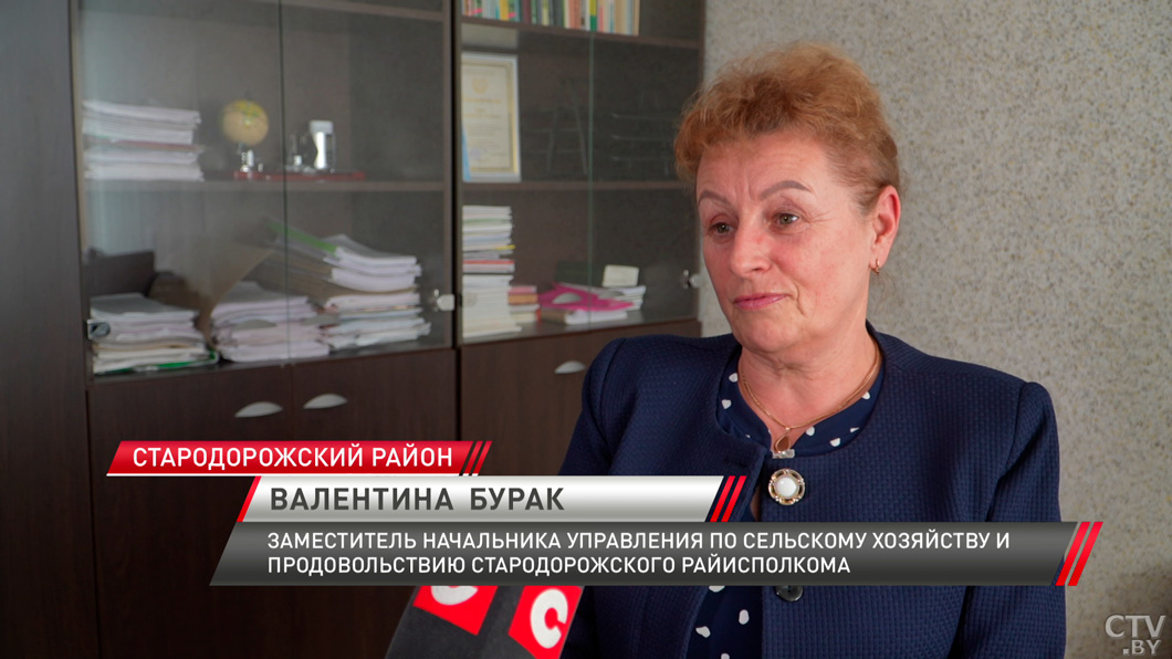 В 2025 году в Стародорожском районе валовое производство молока достигло почти 100 тысяч тонн-4