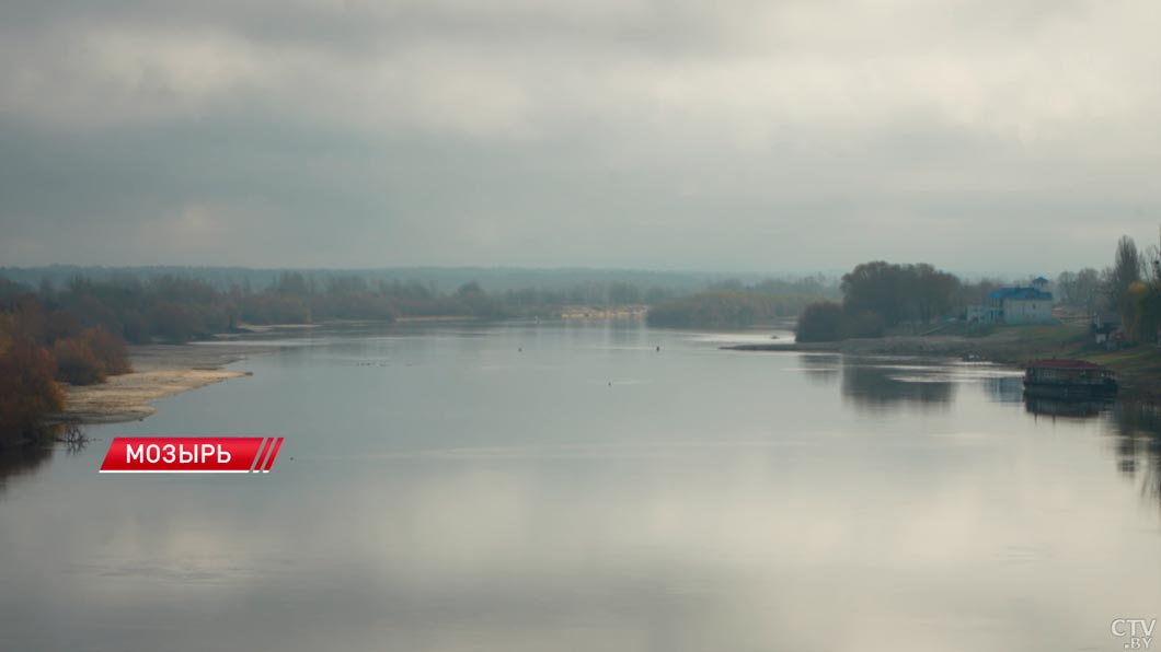 Зарастаем хмызняком – беда! Лукашенко поднял вопрос мелиорации на Полесье-2