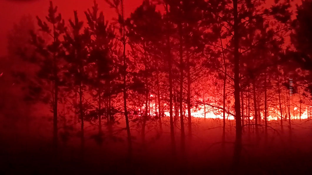 Дачники подпалили мусор и целый лес! Как спасают зелёные массивы от пожаров? 