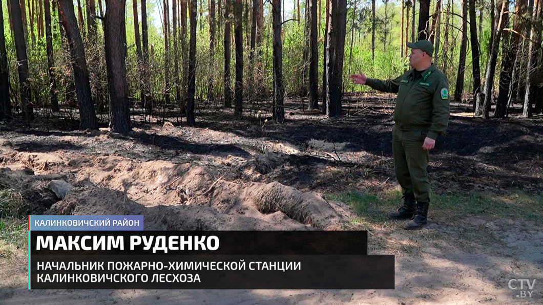Дачники подпалили мусор и целый лес! Как спасают зелёные массивы от пожаров? -10