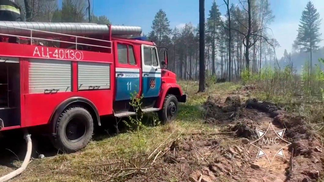 Дачники подпалили мусор и целый лес! Как спасают зелёные массивы от пожаров? -14