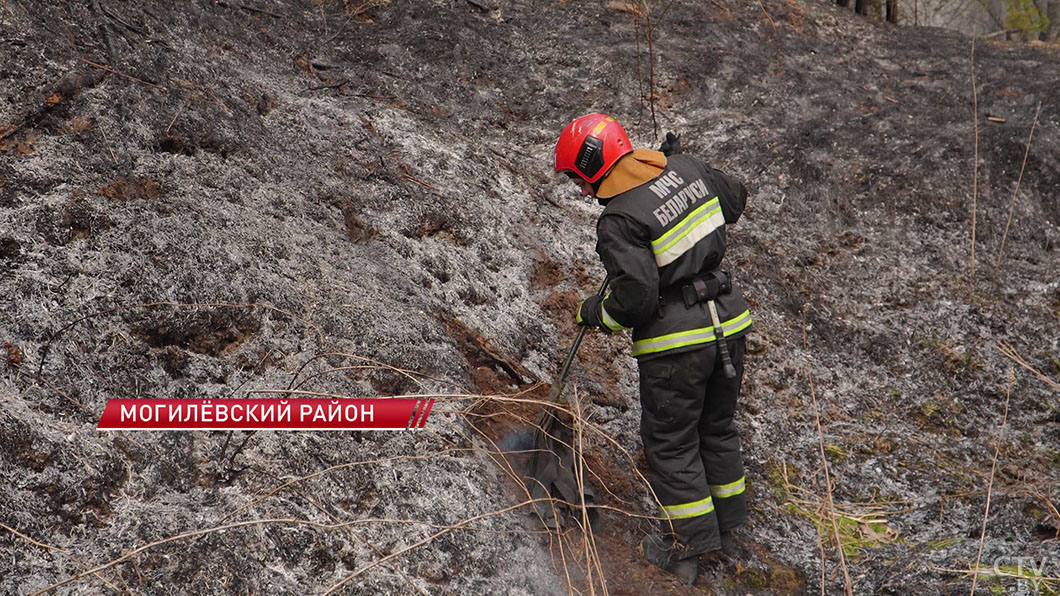 Весна – время повышенной опасности! В марте в Могилевской области зафиксировано около 150 пожаров-12