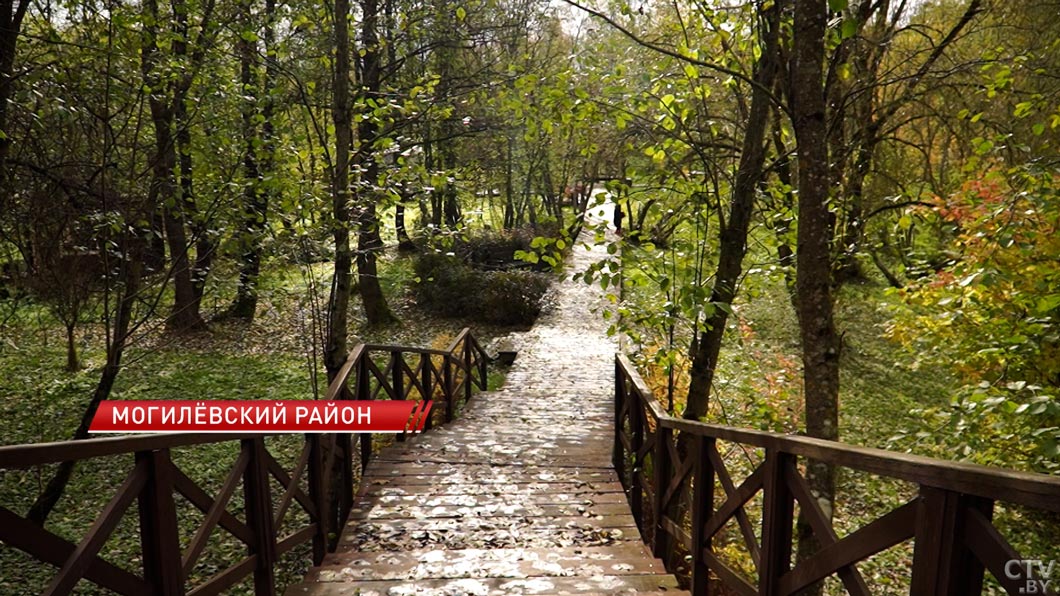Малая родина Президента стала одним из образов у художников на международном пленэре в Могилёве-4