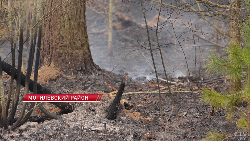 Весна – время повышенной опасности! В марте в Могилевской области зафиксировано около 150 пожаров-2