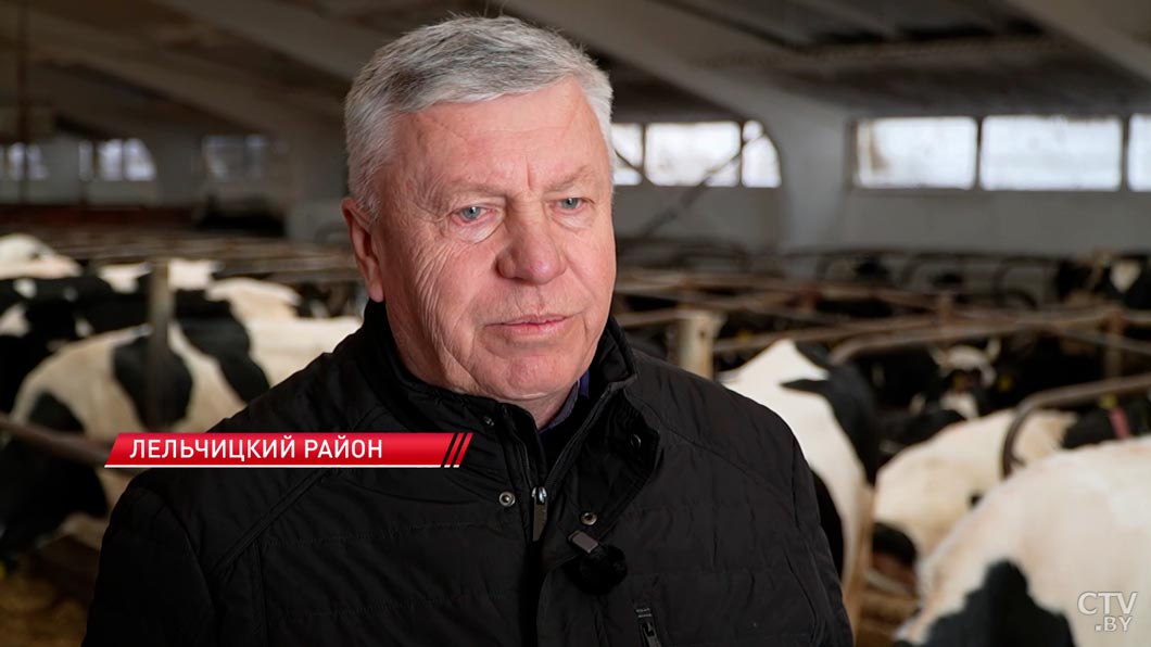 Перезагрузка Припятского Полесья – как программа развития до 2030 года изменит жизнь на юге Беларуси?-2