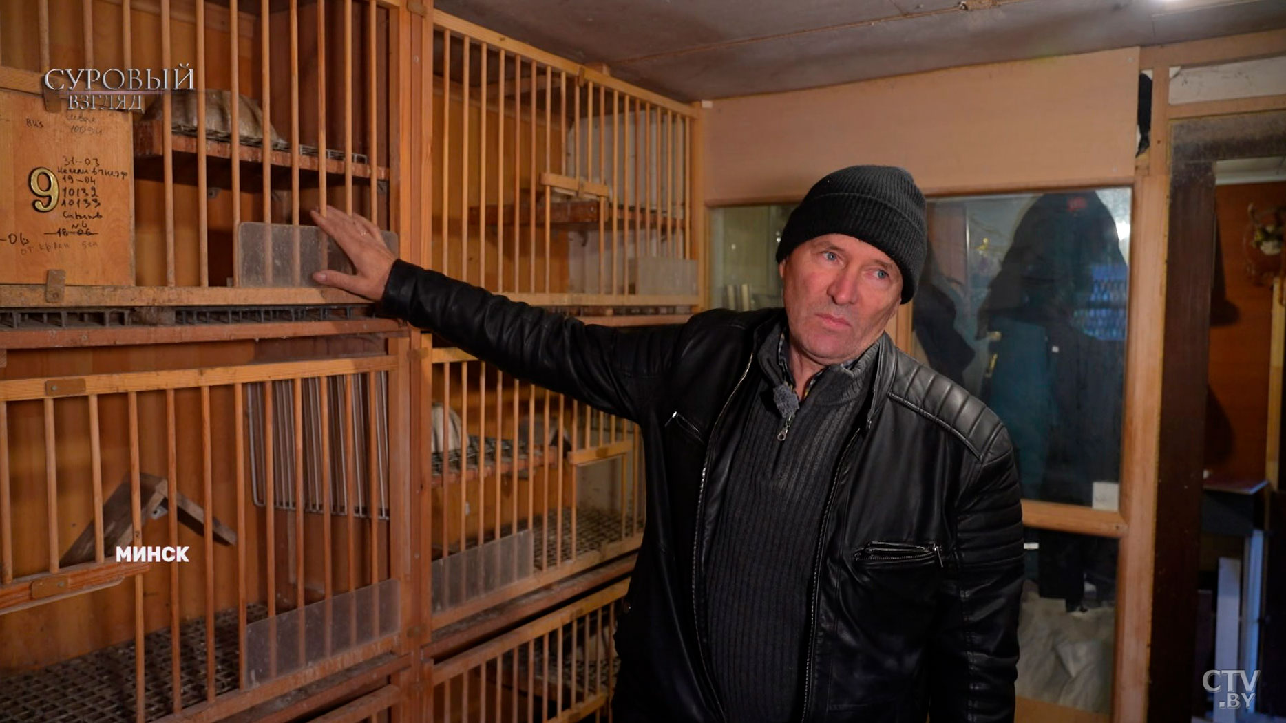 Голубятни в городе: есть ли в этом смысл и что говорит санстанция?-10