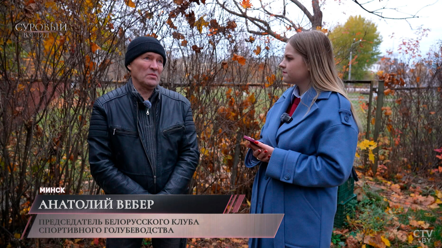 Голубятни в городе: есть ли в этом смысл и что говорит санстанция?-8