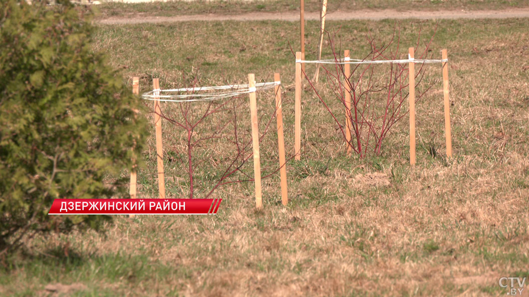 На поддержку гражданских инициатив в Минской области в 2026-м выделен миллион рублей-2