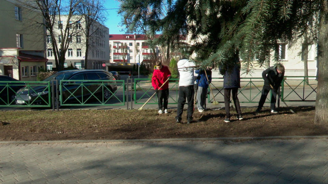 В Минске в 2025 году высадят около 45 тыс. деревьев и порядка 220 тыс. кустарников