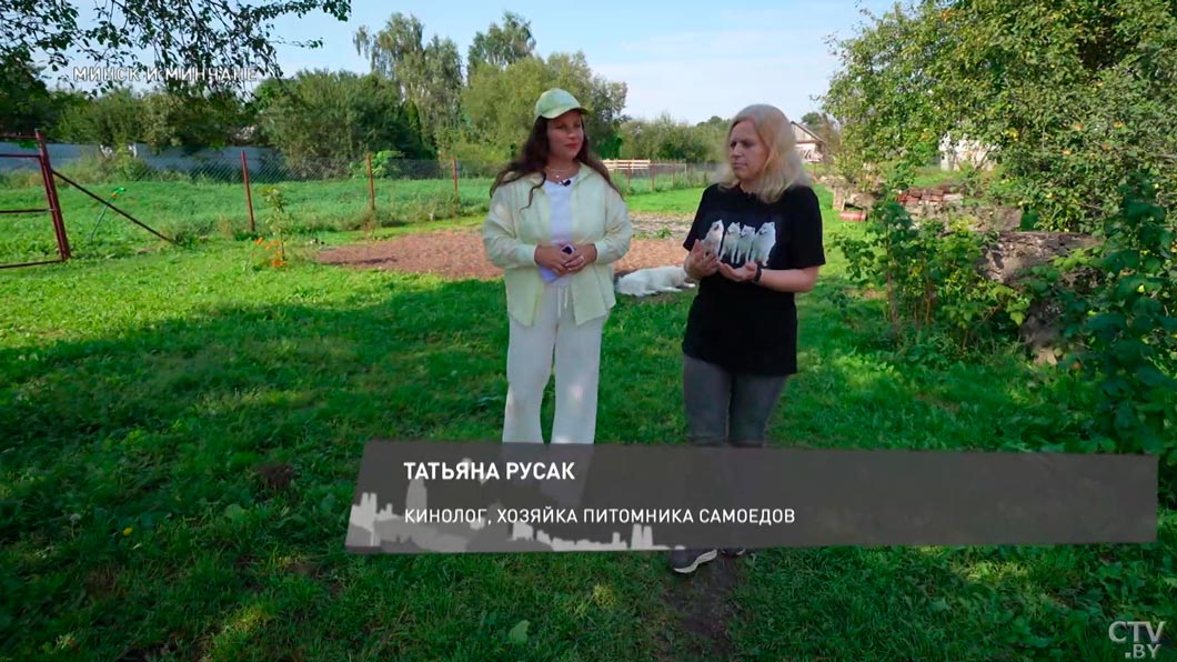 Выносливые и самодостаточные – что отличает самоедских собак, узнали у хозяйки питомника-2