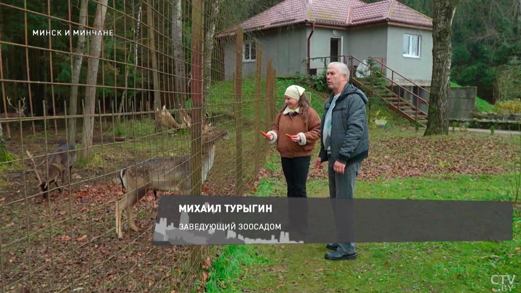 Каких животных можно увидеть в зоосаду Центра экологического туризма «Станьково» – узнали у заведующего-4