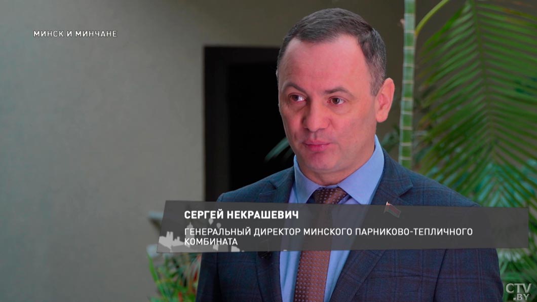 Холодный душ и правильный срез – как сохранить свежесть розы надолго?-4
