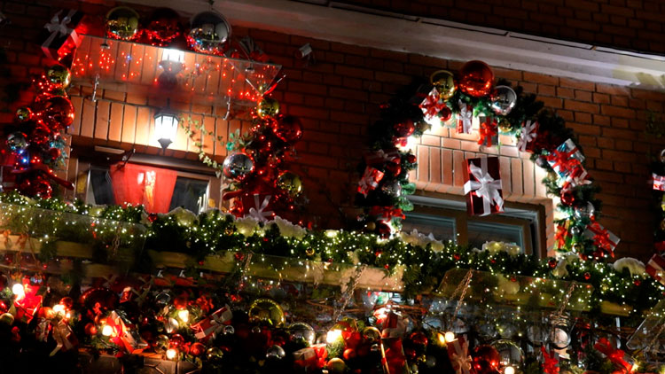 Главную ёлку страны зажгут в Минске