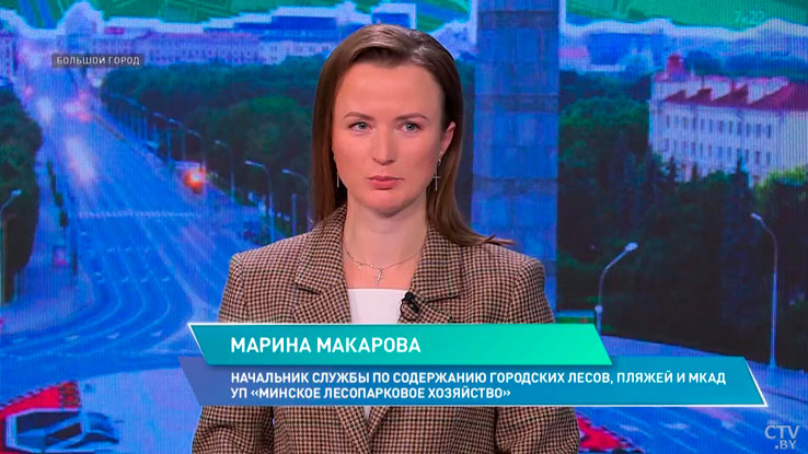 Цнянское, Дрозды и Криница – рассказываем, как благоустроили пляжи Минска-2