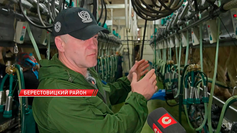 Масштабная модернизация молочного производства продолжается в Беларуси-8