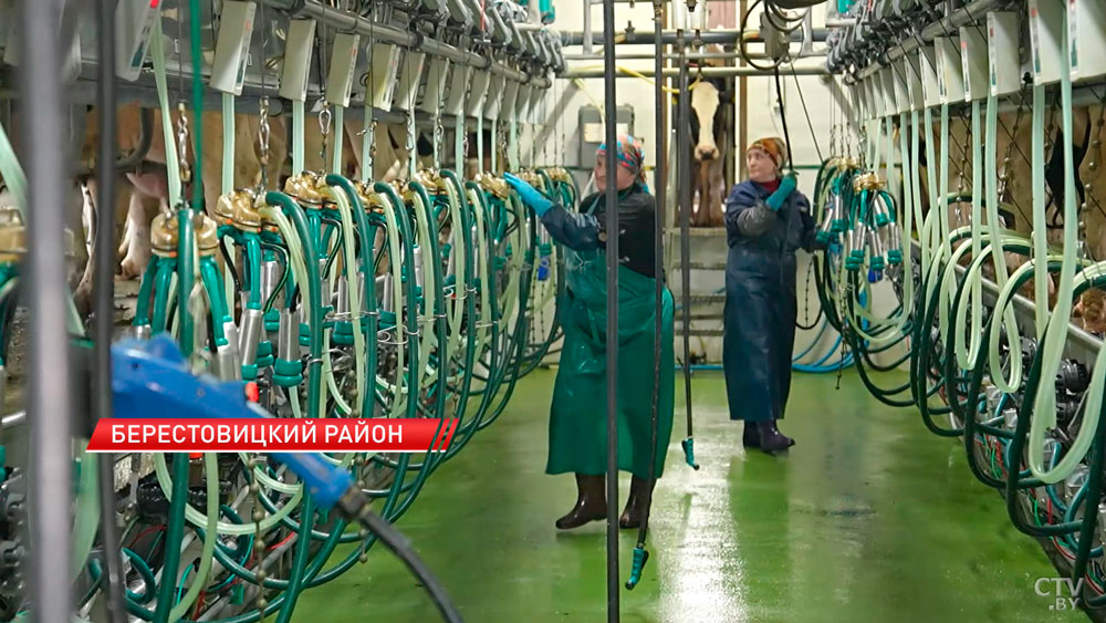 Масштабная модернизация молочного производства продолжается в Беларуси-6