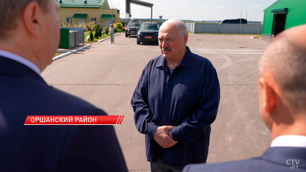 «Топчетесь на одном месте!». Лукашенко поднял проблему падежа скота-4