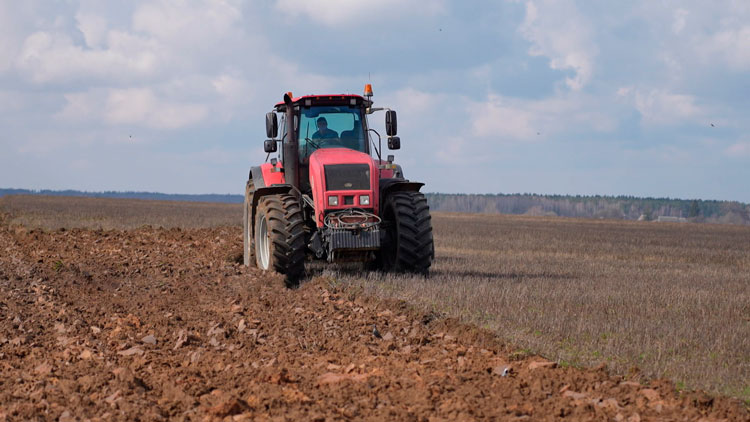 Аграрии Минской области посеяли более 90% ранних яровых зерновых и зернобобовых