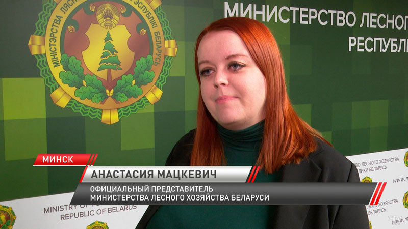 Минлесхоз накануне зимних праздников проводит благотворительную акцию-4