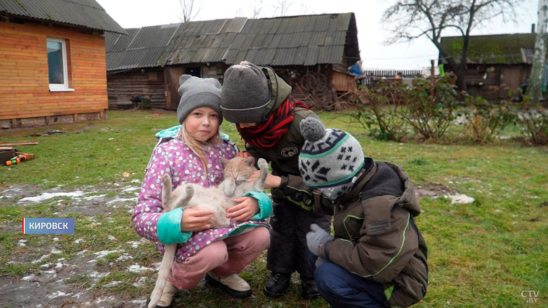 За нелегала – штраф. Начали действовать новые правила содержания домашних животных. Разбирались в нюансах закона-2