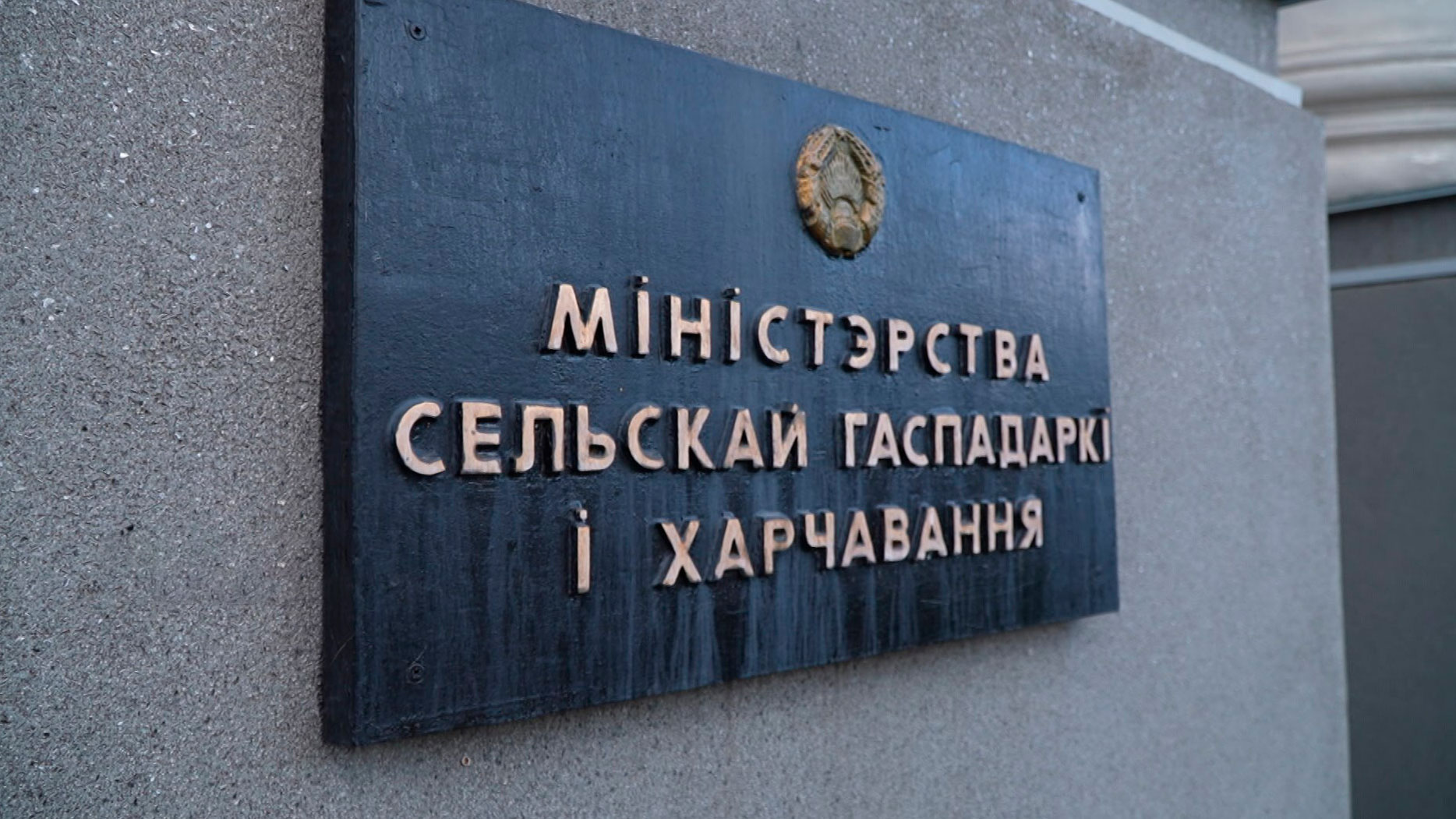 Уборочная кампания и сев озимых: Президенту рассказали о ситуации в полях