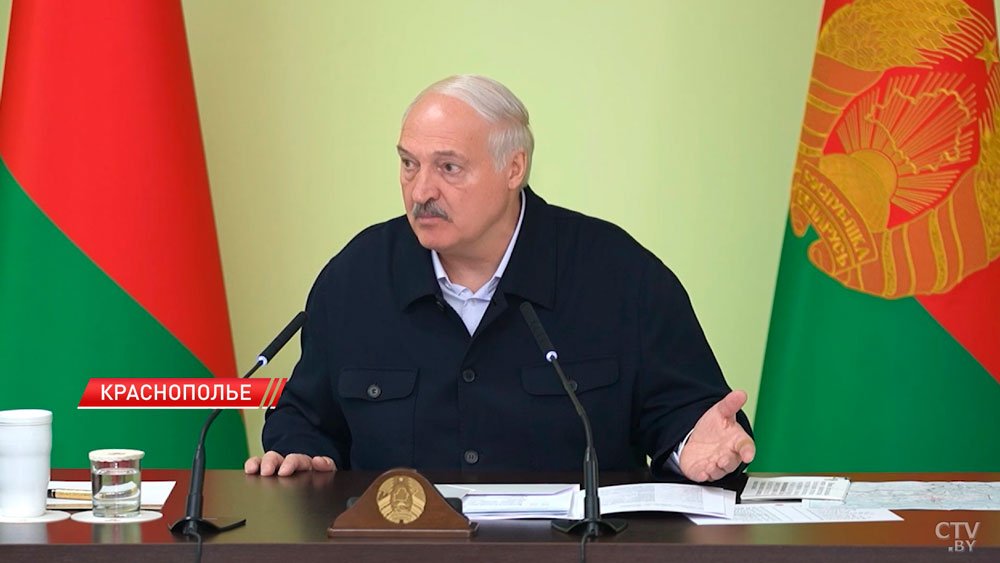 Господдержки больше, чем выручки – Лукашенко доложили о провале в отдельных хозяйствах Могилевщины-4