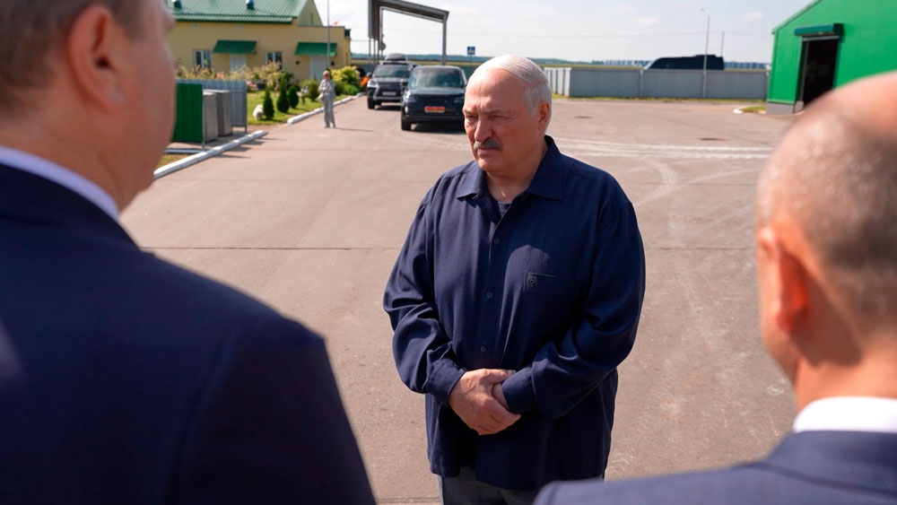 «Топчетесь на одном месте!». Лукашенко поднял проблему падежа скота