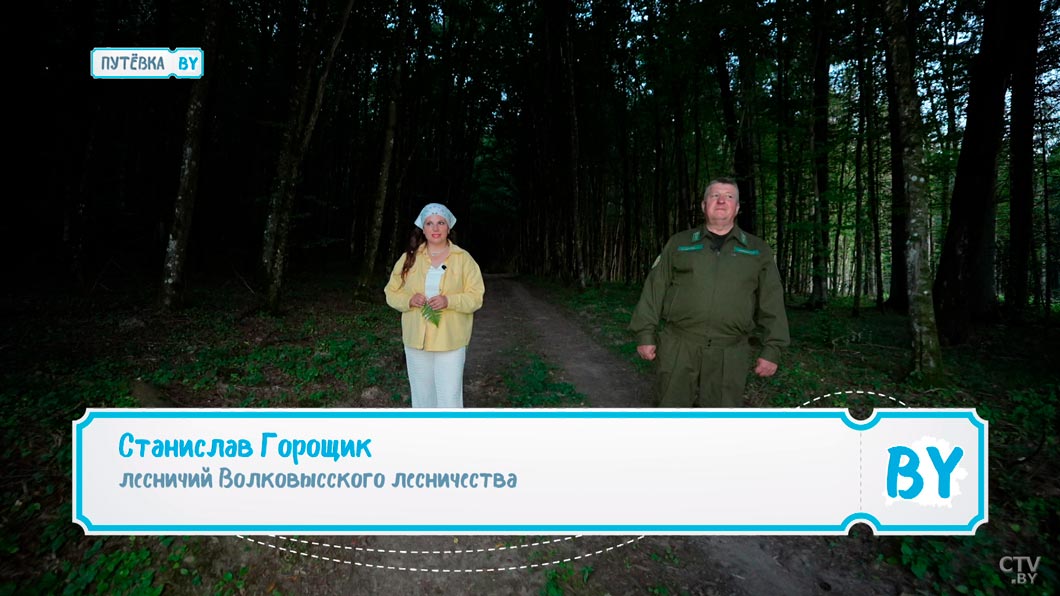 Там обитают редкие животные и краснокнижные растения – побывали в заказнике «Замковый лес»-2