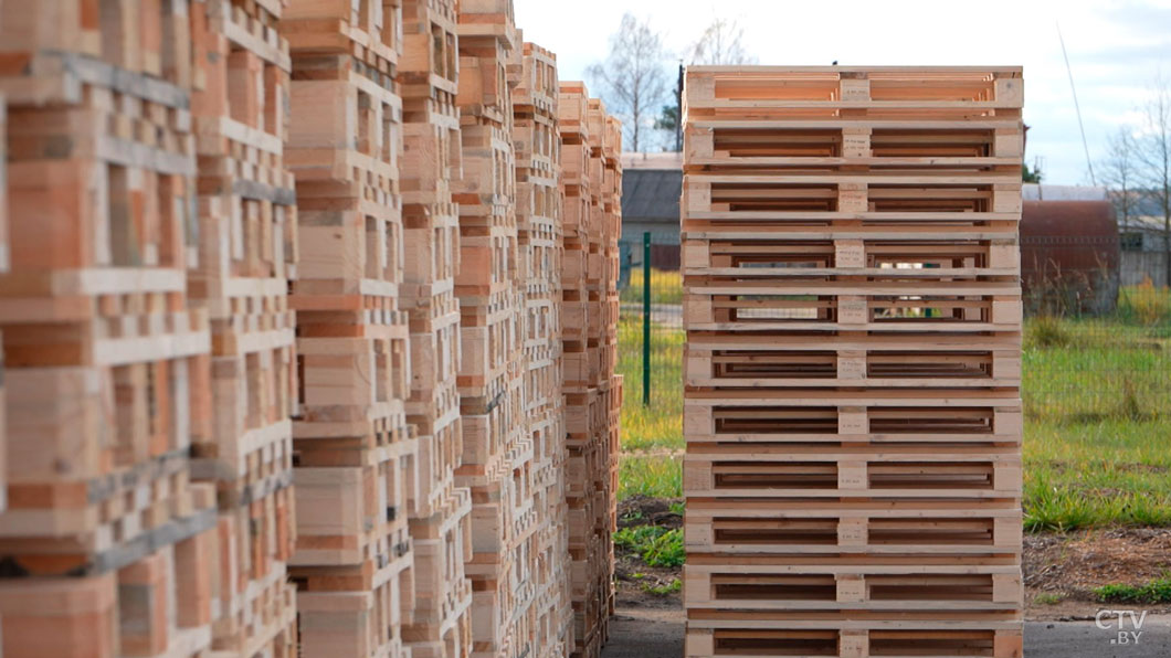 Более 10,5 тыс. вакансий обещает белорусам инициатива «Один район – один проект»-4 Более 10,5 тыс. вакансий обещает белорусам инициатива «Один район – один проект»-4