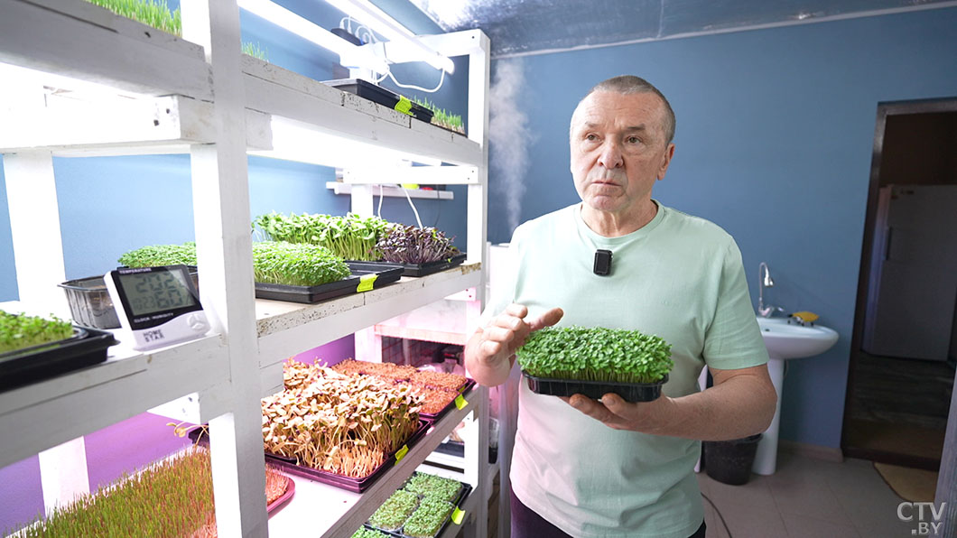 Модно, полезно и невероятно просто! Узнали, как выращивать микрозелень в домашних условиях -8