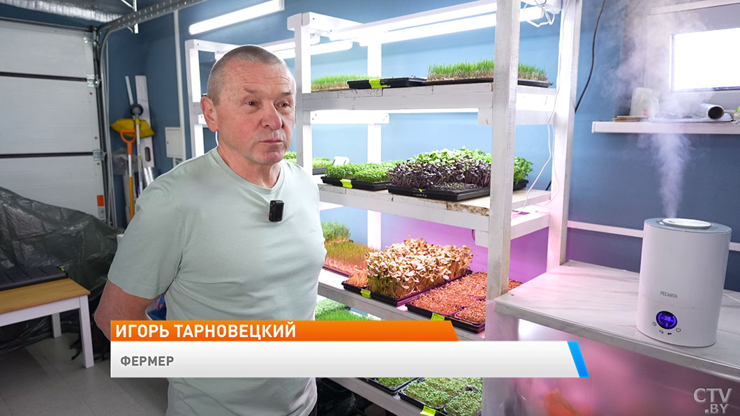 Модно, полезно и невероятно просто! Узнали, как выращивать микрозелень в домашних условиях -2