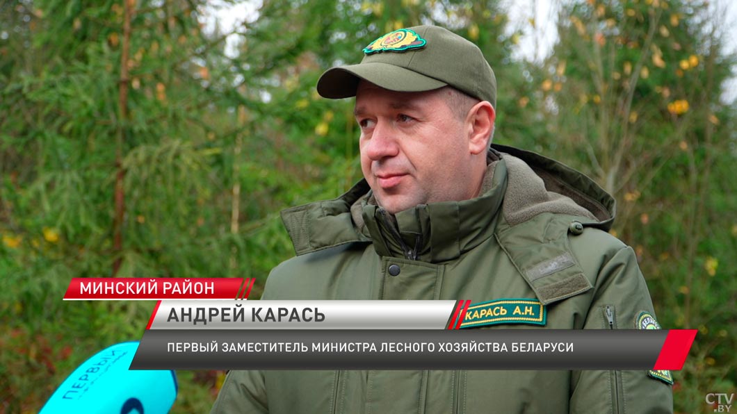 Акция «Дай лесу новае жыццё» стала международной – работники посольства Индии приняли участие-6 Акция «Дай лесу новае жыццё» стала международной – работники посольства Индии приняли участие-6