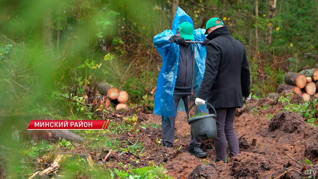 Акция «Дай лесу новае жыццё» стала международной – работники посольства Индии приняли участие-2 Акция «Дай лесу новае жыццё» стала международной – работники посольства Индии приняли участие-2