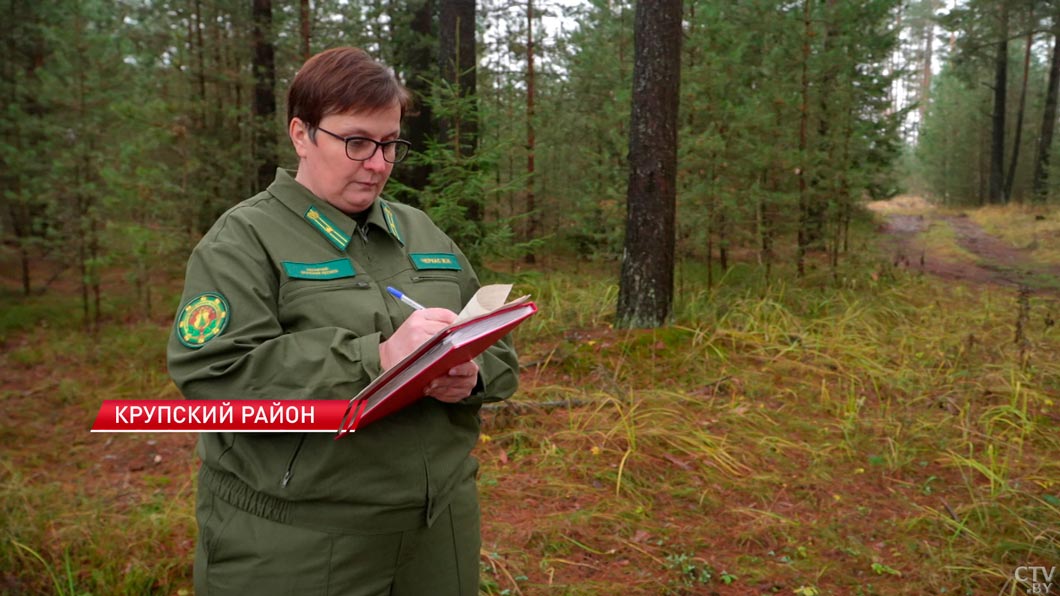 «Мы строим миролюбивую Беларусь» – делегат ВНС от Крупского района-6