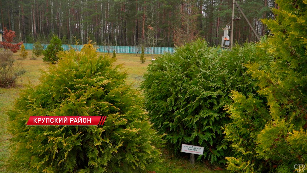 «Мы строим миролюбивую Беларусь» – делегат ВНС от Крупского района-8