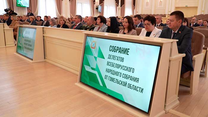 Делегаты ВНС Гомельской области обсудили проект Программы социально-экономического развития