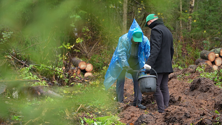 Акция «Дай лесу новае жыццё» стала международной – работники посольства Индии приняли участие