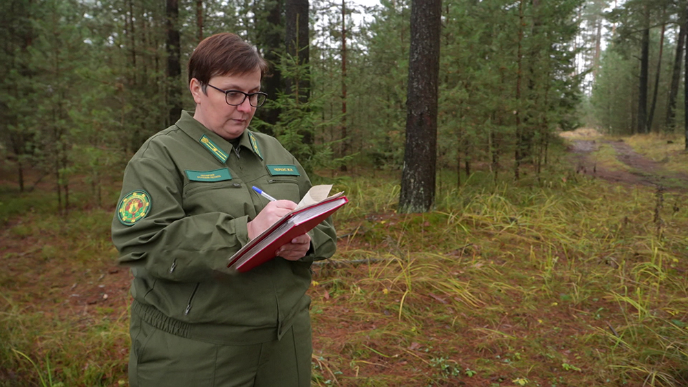 «Мы строим миролюбивую Беларусь» – делегат ВНС от Крупского района