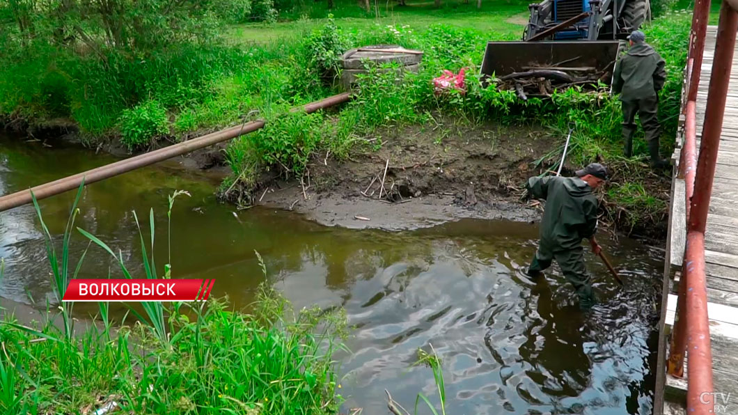 В Волковыске запустили чат-бот для устранения беспорядков в городе и районе – как успехи?-12