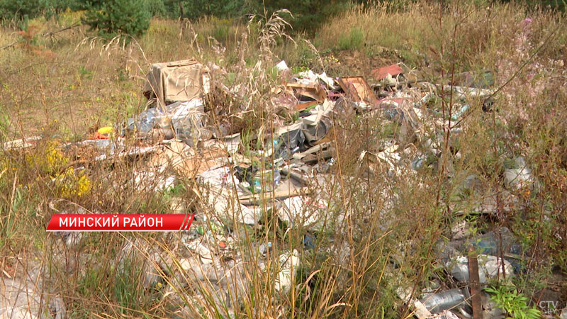 С начала года из лесов Минской области вывезли около 3 тыс. кубометров мусора-2