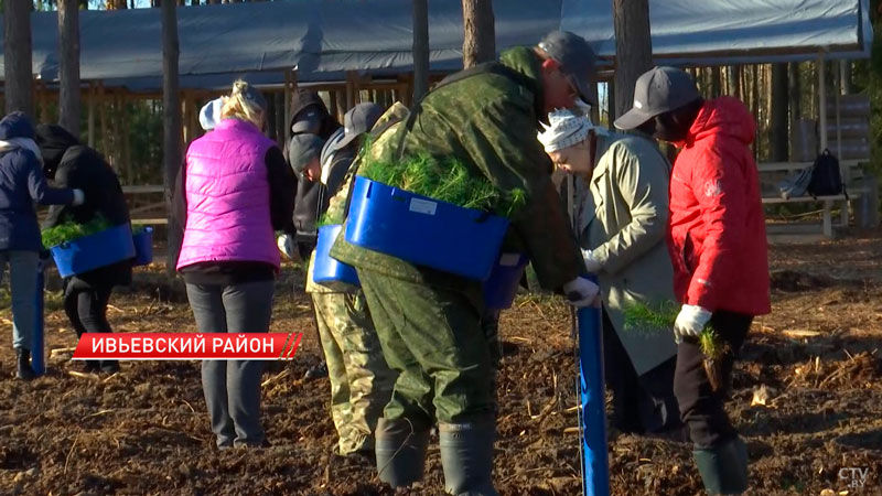 За неделю к акции по восстановлению леса присоединились более 16 тыс. человек-2