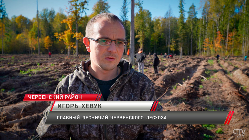 К возрождению лесов присоединяется всё больше белорусов! Как восстанавливают природные ресурсы?-6