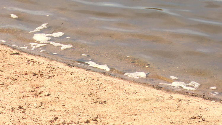 Пляжи Беларуси откроются с 1 мая – в стране завершают подготовку к купальному сезону