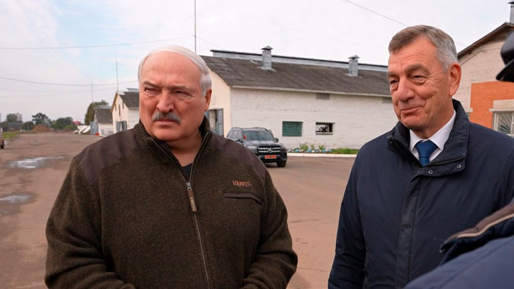 Рабочая суббота Президента. Лукашенко посетил предприятие «Агро-Лясковичи»